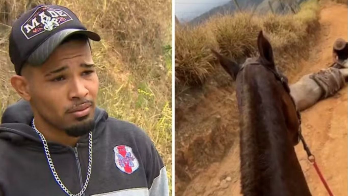 Homem mutila cavalo em SP